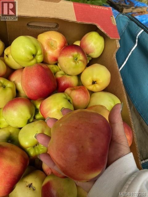 113 Woodburn Rd, Campbell River, British Columbia  V9W 4R4 - Photo 41 - 1027288