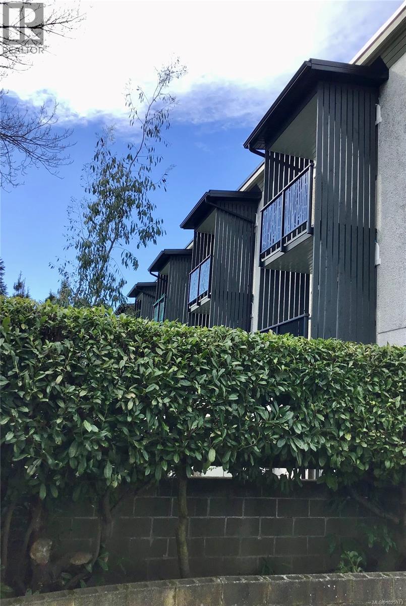 1541 North Dairy Rd, Victoria, British Columbia  V8T 3T9 - Photo 24 - 1025973