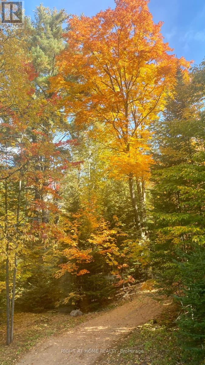 1861 Glamor Lake Road, Highlands East, Ontario  K0M 1R0 - Photo 43 - X12830092