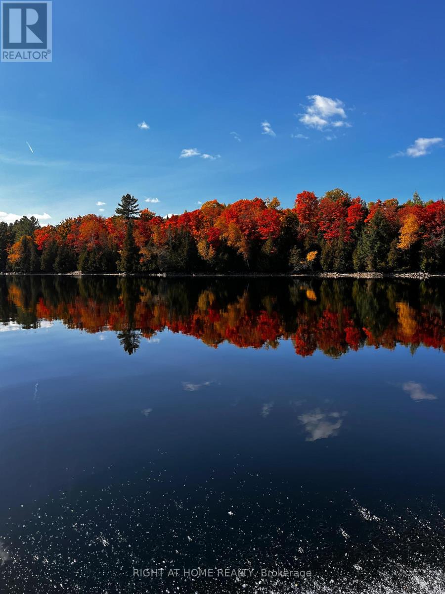 1861 Glamor Lake Road, Highlands East, Ontario  K0M 1R0 - Photo 46 - X12830092