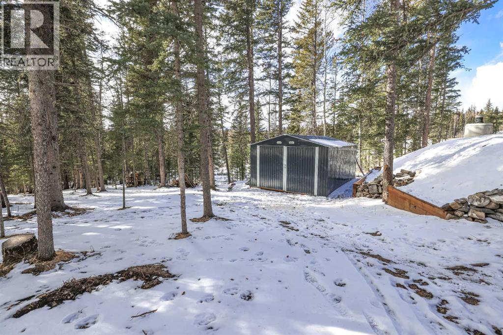 1205 Tamarack Trail, Rural Clearwater County, Alberta  T0M 2H0 - Photo 28 - A2288576