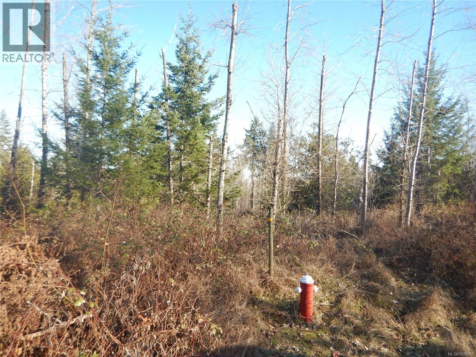 Lot 2 Artela Dr, Fanny Bay, British Columbia  V0R 1W0 - Photo 2 - 1026703
