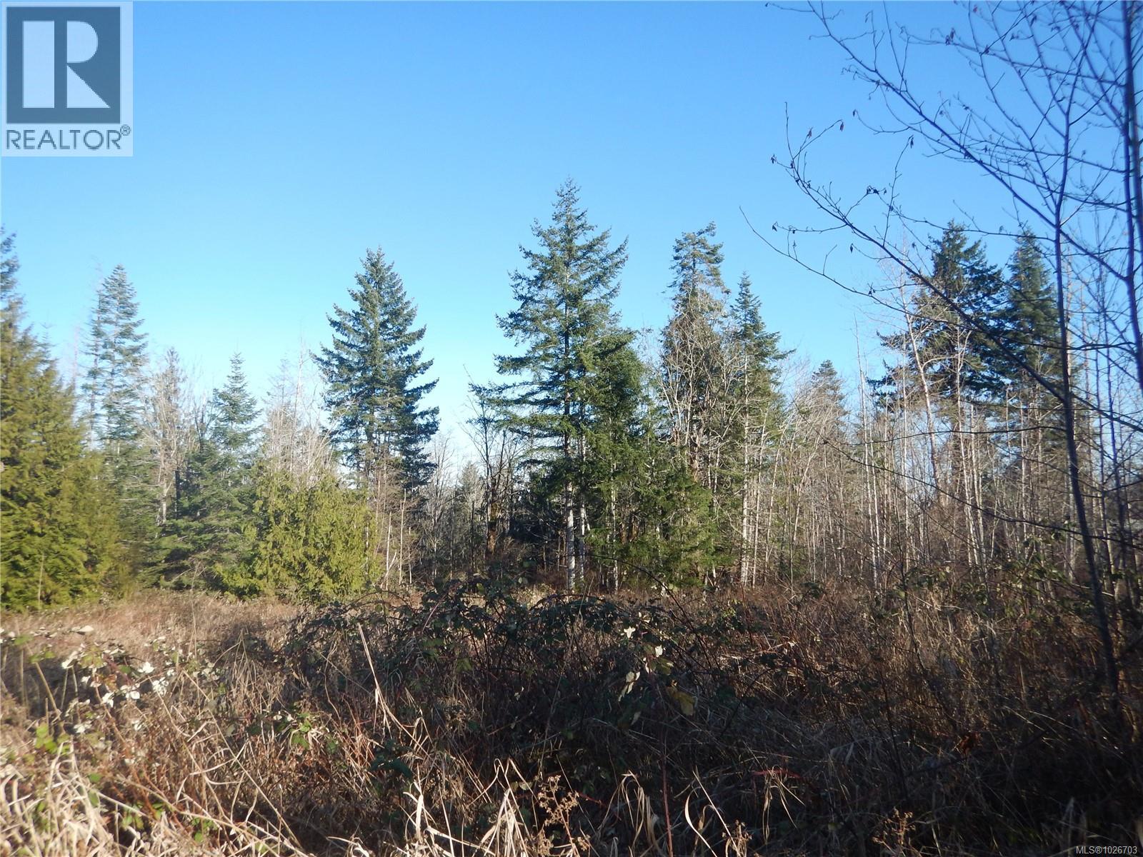 Lot 2 Artela Dr, Fanny Bay, British Columbia  V0R 1W0 - Photo 7 - 1026703