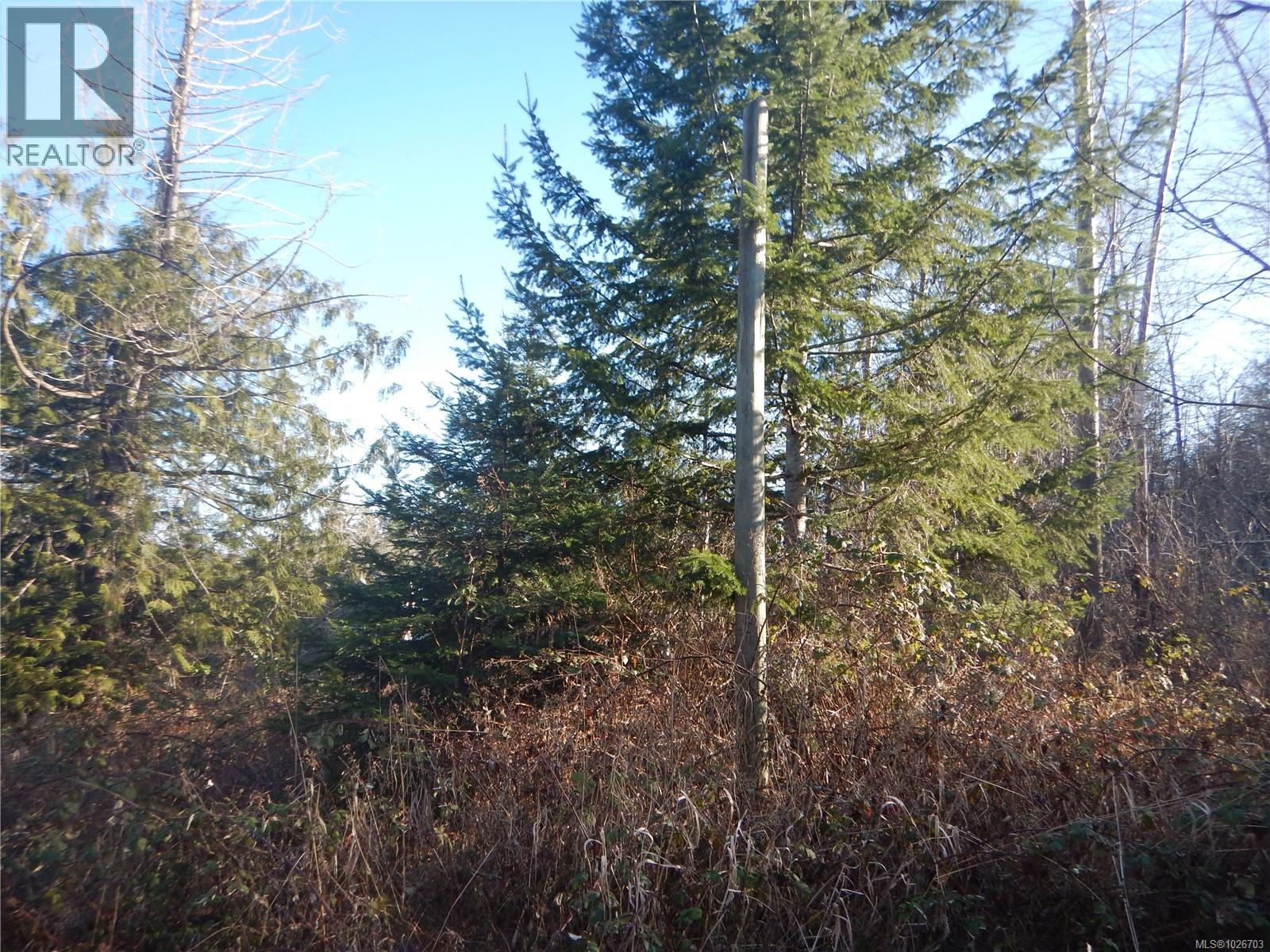 Lot 2 Artela Dr, Fanny Bay, British Columbia  V0R 1W0 - Photo 9 - 1026703