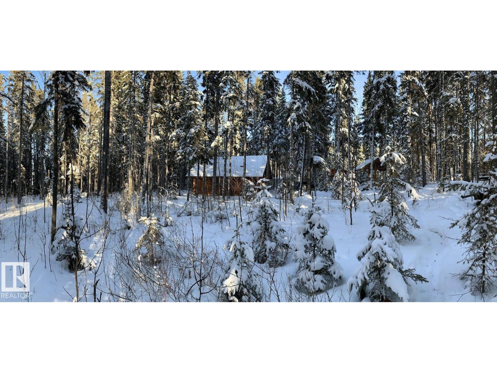 #81 62057 Twp Road 464, Rural Wetaskiwin County, Alberta  T0C 0T0 - Photo 4 - E4475321
