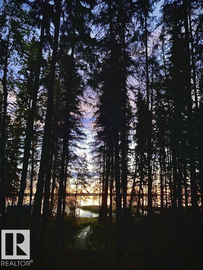 85a Twp Road 464, Rural Wetaskiwin County, Alberta  T0C 0T0 - Photo 41 - E4475322