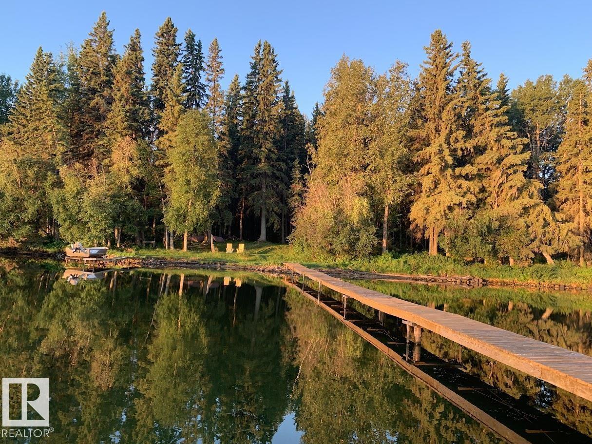 85a Twp Road 464, Rural Wetaskiwin County, Alberta  T0C 0T0 - Photo 43 - E4475322