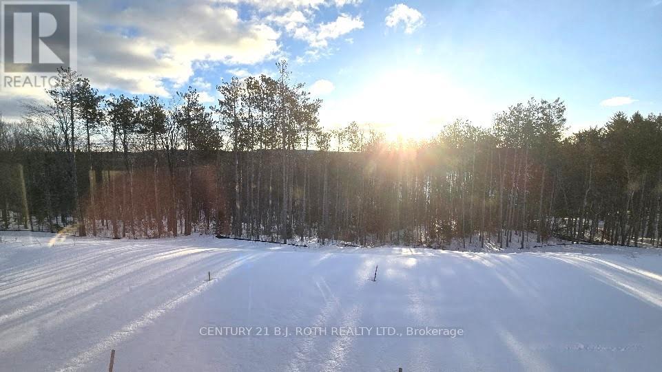 61 Ruby Ridge, Oro-Medonte, Ontario  L0L 2E0 - Photo 30 - S12611886