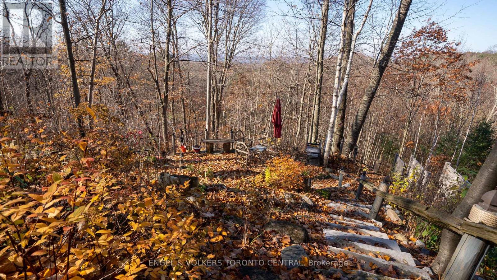 11 Valleycrest Drive, Oro-Medonte (Horseshoe Valley), Ontario  L0L 2L0 - Photo 48 - S12830230