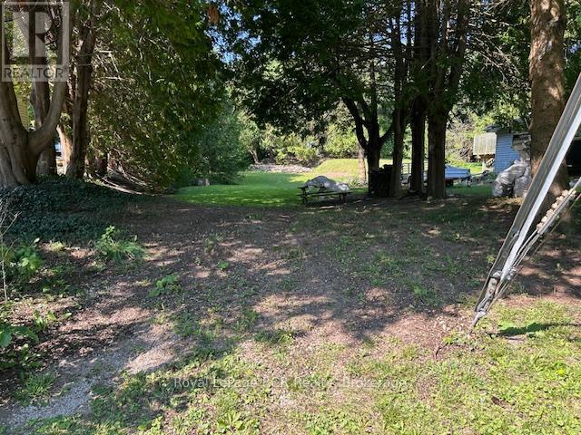 2310 5th Ave Avenue W, Owen Sound, Ontario  N4K 5C6 - Photo 2 - X12830298