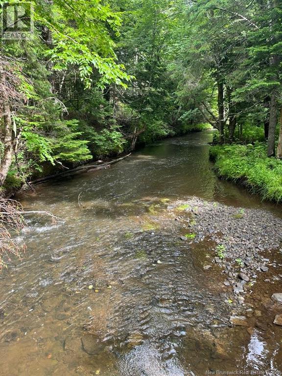 368 Kay Road, Saint-Antoine, New Brunswick  E4V 0C5 - Photo 43 - NB133042