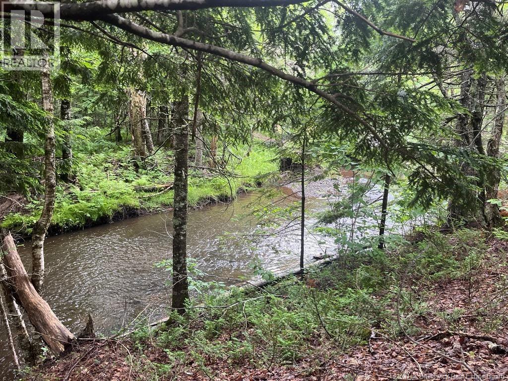 368 Kay Road, Saint-Antoine, New Brunswick  E4V 0C5 - Photo 42 - NB133042