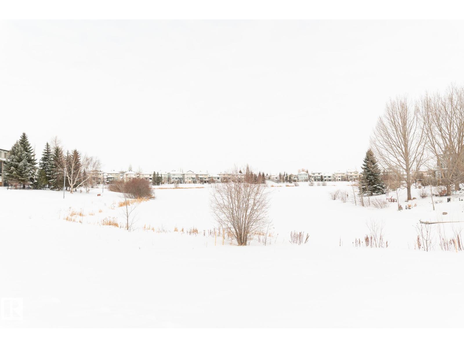 387 Calderon Cr Nw, Edmonton, Alberta  T6V 1R8 - Photo 53 - E4475110