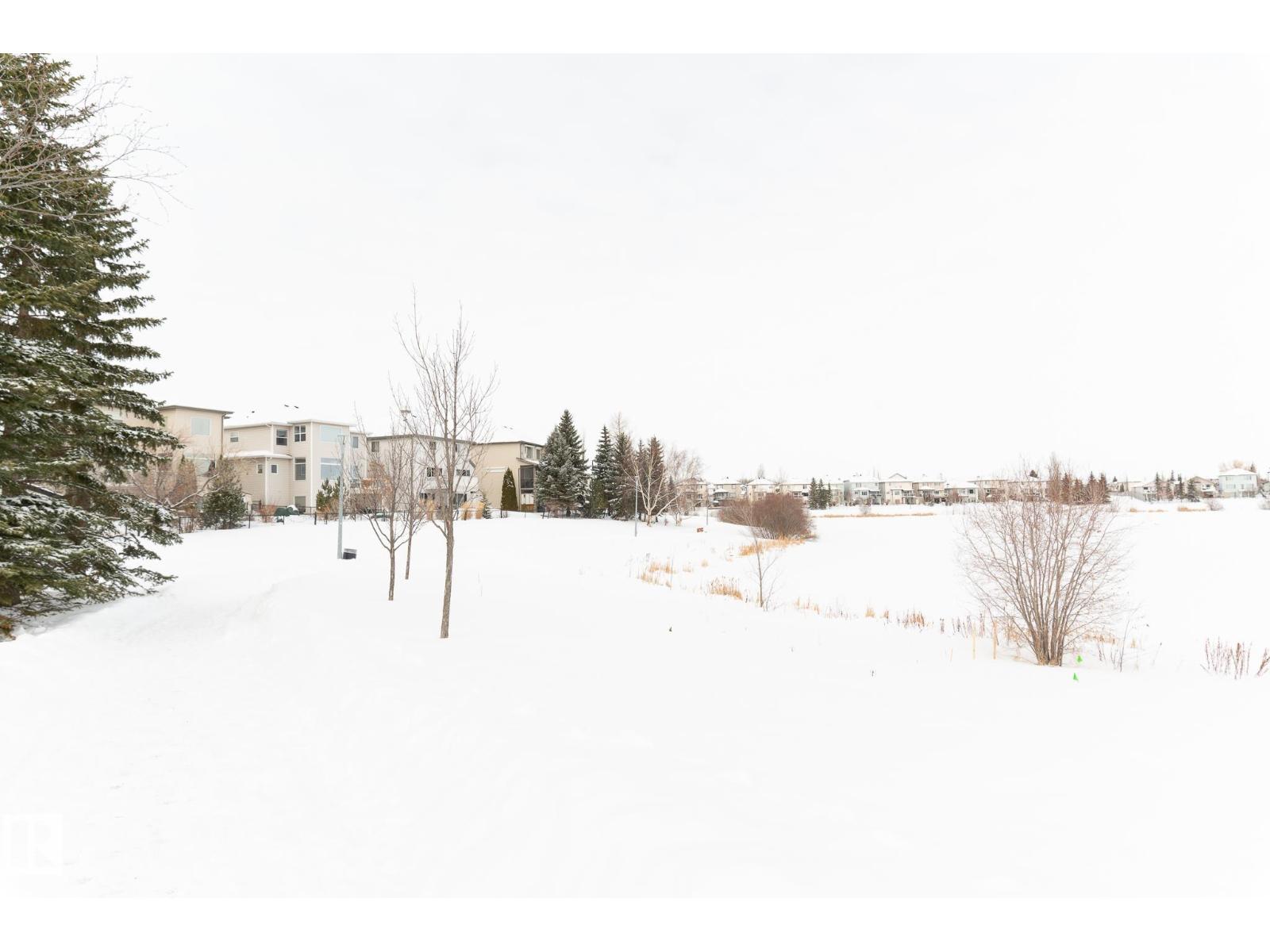 387 Calderon Cr Nw, Edmonton, Alberta  T6V 1R8 - Photo 54 - E4475110