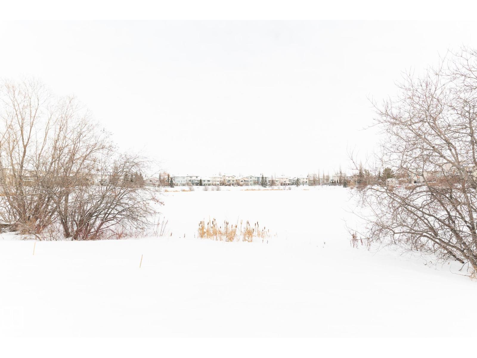 387 Calderon Cr Nw, Edmonton, Alberta  T6V 1R8 - Photo 55 - E4475110