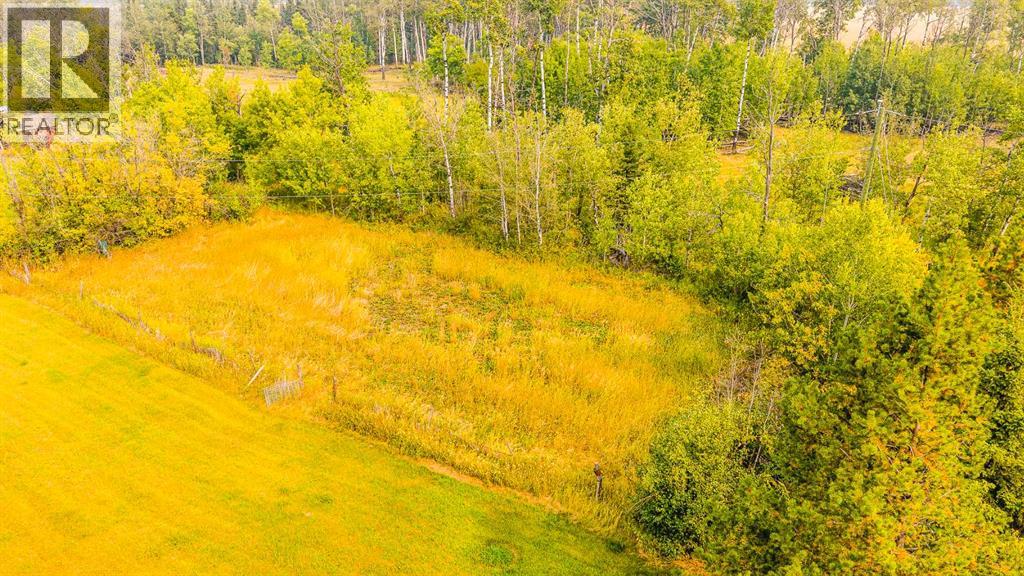 63050 770 Township, Rural Spirit River No. 133, Alberta  T0H 3G0 - Photo 11 - A2253954