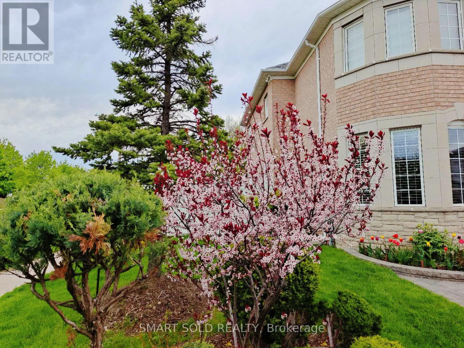 39 Bayfield Drive, Richmond Hill, Ontario  L4S 2M5 - Photo 50 - N12825724