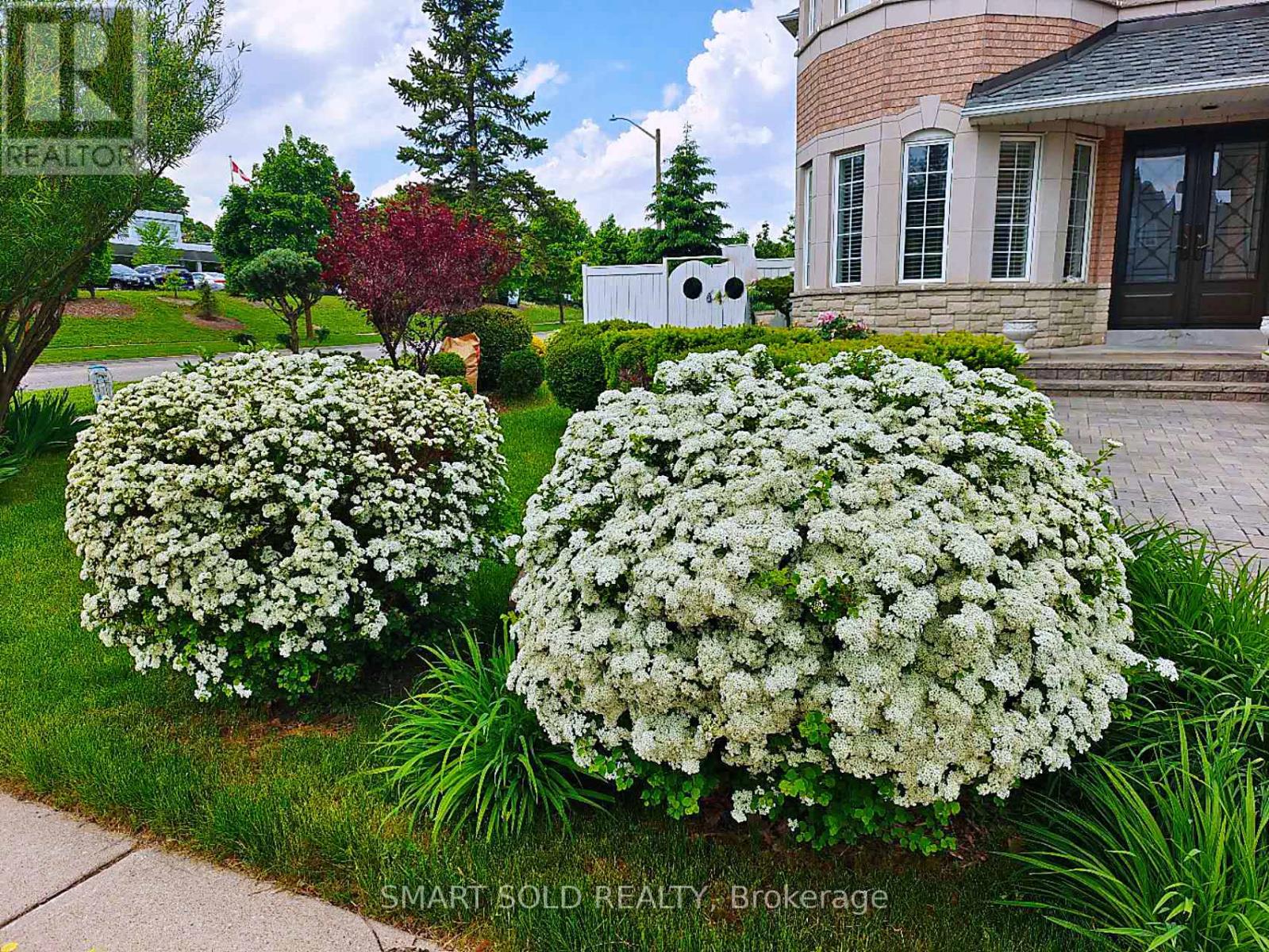 39 Bayfield Drive, Richmond Hill, Ontario  L4S 2M5 - Photo 49 - N12825724