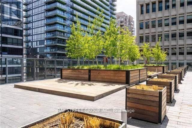 702 - 57 St. Joseph Street, Toronto, Ontario  M5S 0C5 - Photo 20 - C12830578