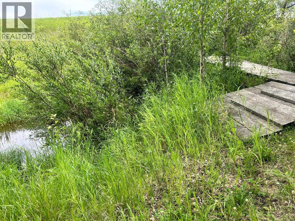 Rr40 South Of Twp Rd 293, Rural Mountain View County, Alberta  T0M 0S0 - Photo 4 - A2289646