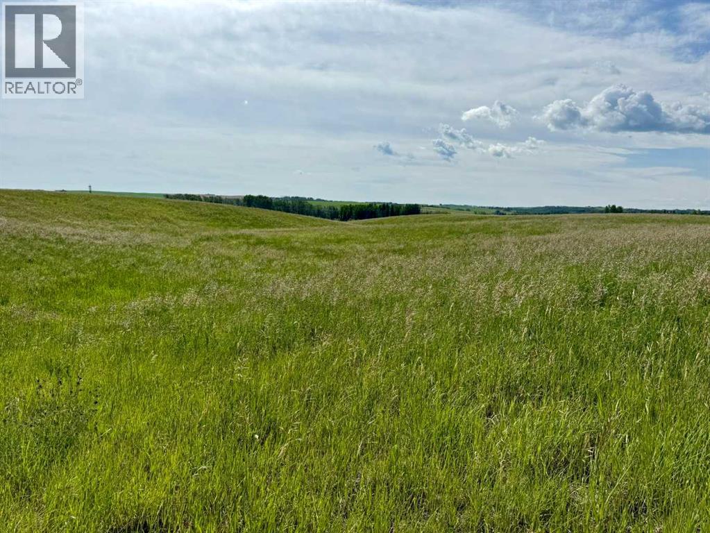 Rr40 South Of Twp Rd 293, Rural Mountain View County, Alberta  T0M 0S0 - Photo 11 - A2289646