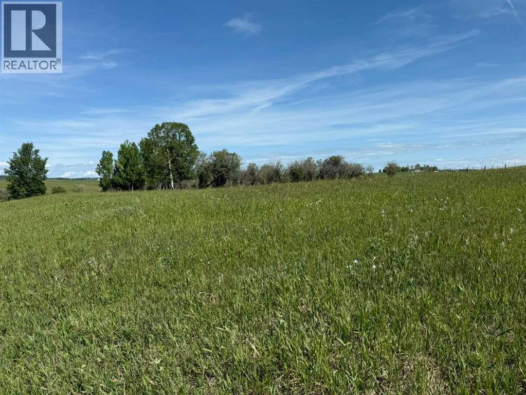 Rr40 South Of Twp Rd 293, Rural Mountain View County, Alberta  T0M 0S0 - Photo 16 - A2289646
