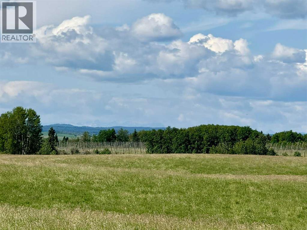 Rr40 South Of Twp Rd 293, Rural Mountain View County, Alberta  T0M 0S0 - Photo 6 - A2289646
