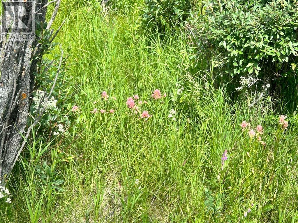 Rr40 South Of Twp Rd 293, Rural Mountain View County, Alberta  T0M 0S0 - Photo 5 - A2289646