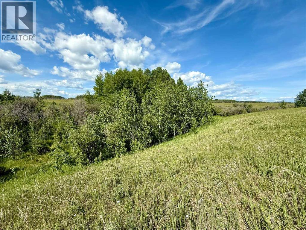 Rr40 South Of Twp Rd 293, Rural Mountain View County, Alberta  T0M 0S0 - Photo 14 - A2289646