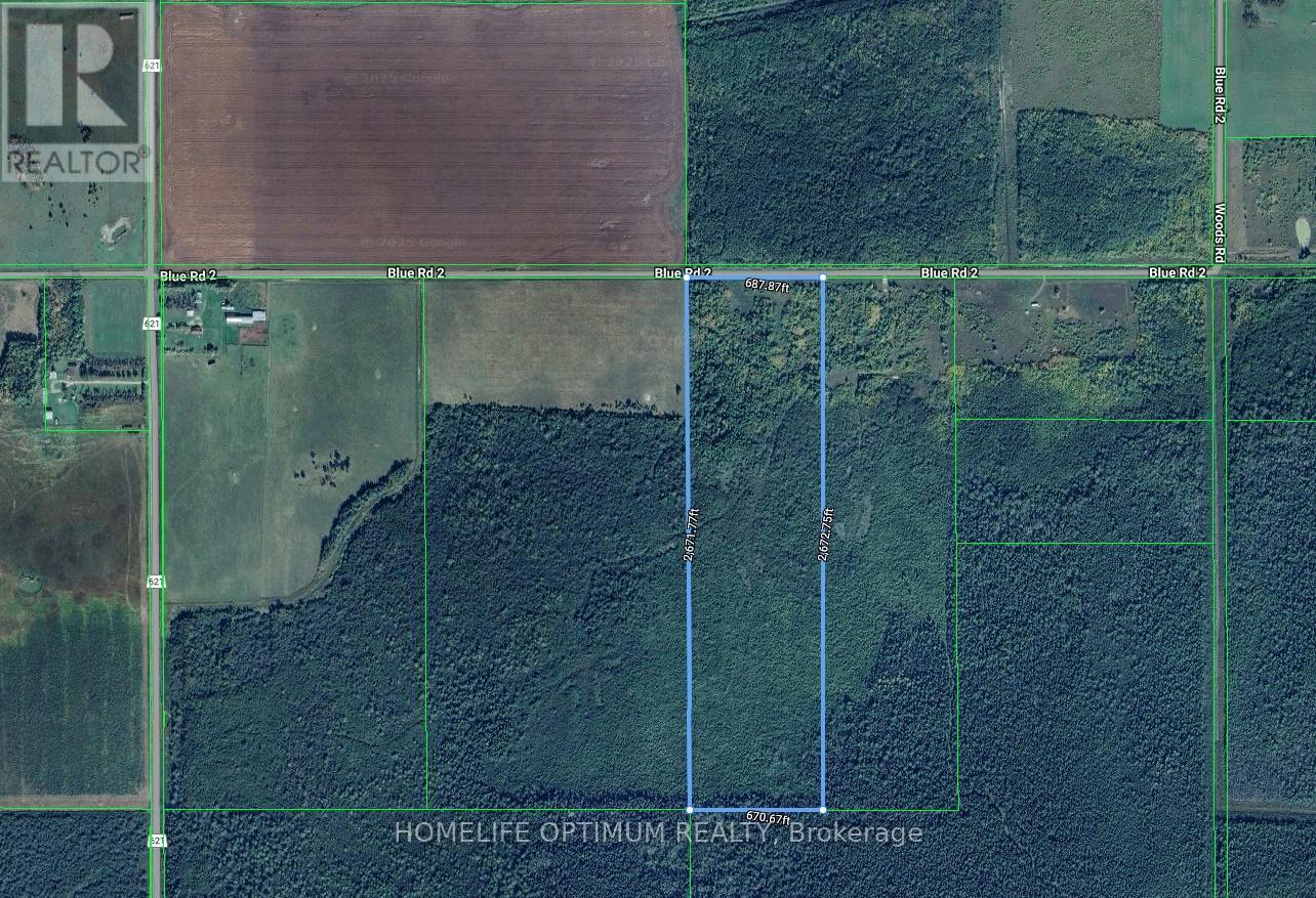 Parcel 20024 Sec Rainy River Pt Sec 2 Blue Being Pt 1 48r4734 Road W, Dawson, Ontario P0W 1M0 - Photo 2 - X12830836