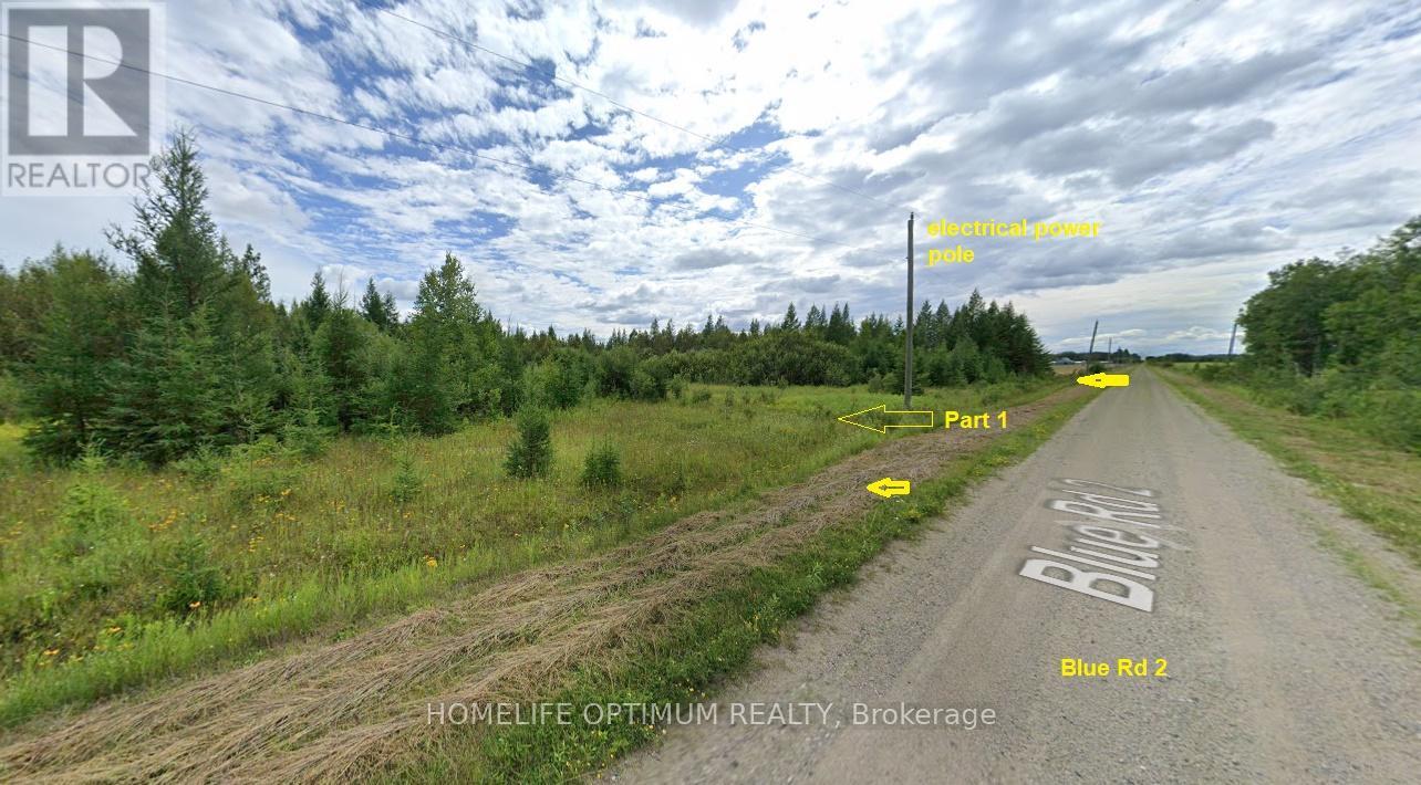 Parcel 20024 Sec Rainy River Pt Sec 2 Blue Being Pt 1 48r4734 Road W, Dawson, Ontario P0W 1M0 - Photo 3 - X12830836