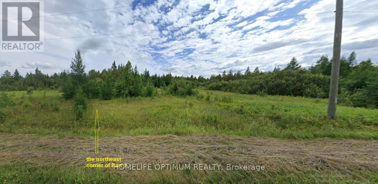 Parcel 20024 Sec Rainy River Pt Sec 2 Blue Being Pt 1 48r4734 Road W, Dawson, Ontario P0W 1M0 - Photo 5 - X12830836