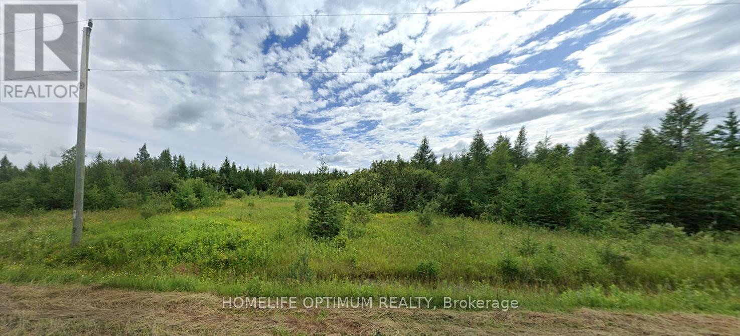 Parcel 20024 Sec Rainy River Pt Sec 2 Blue Being Pt 1 48r4734 Road W, Dawson, Ontario P0W 1M0 - Photo 7 - X12830836