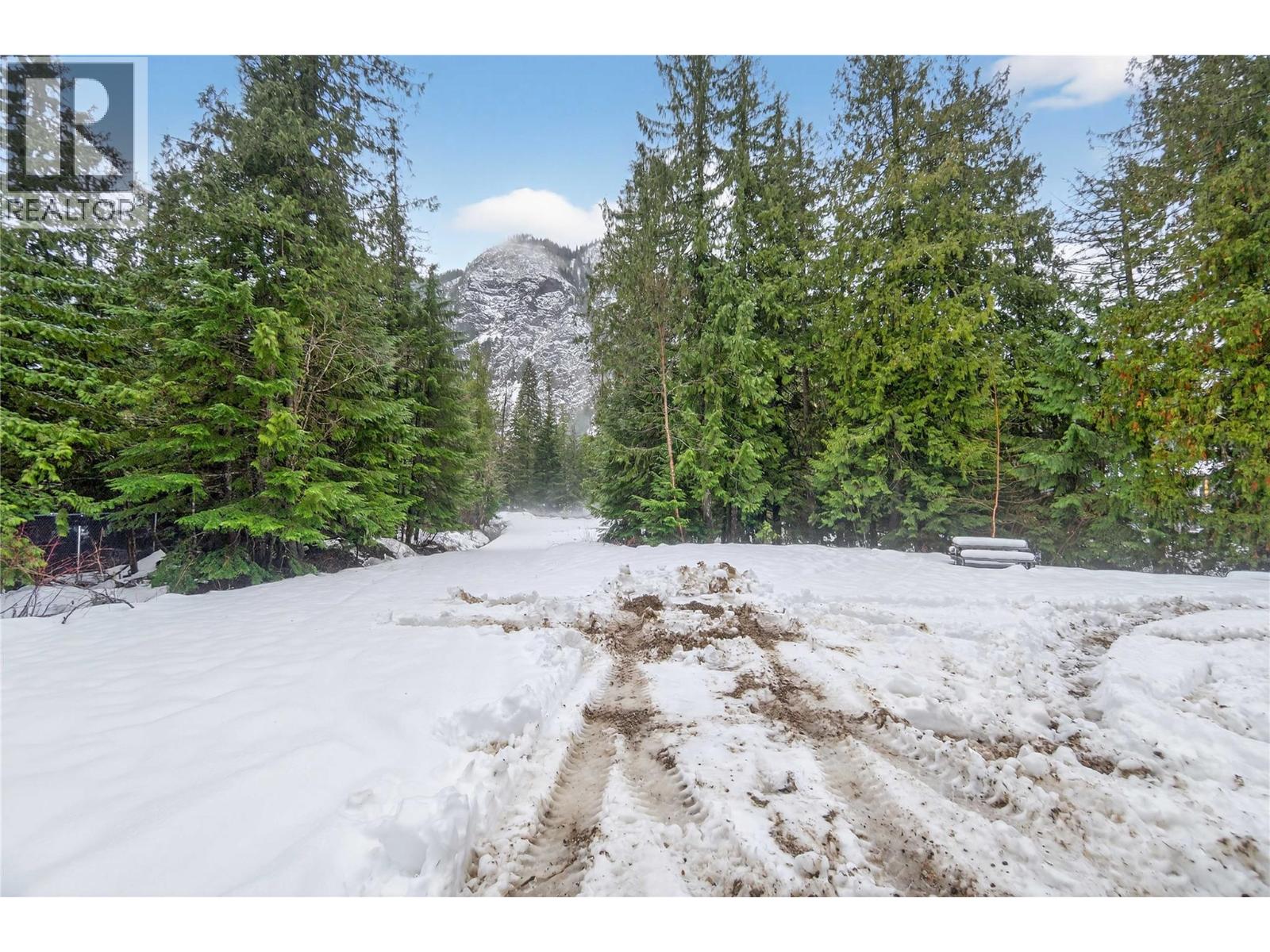 3277 Loschinski Road, Revelstoke, British Columbia  V0E 2S0 - Photo 66 - 10371277