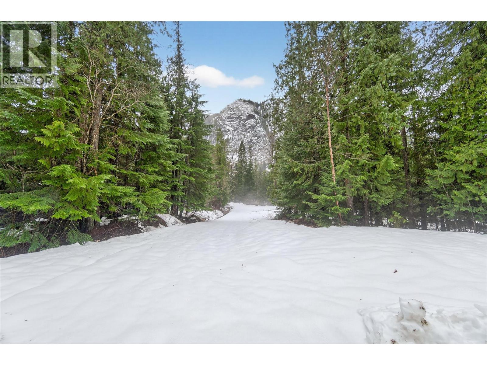 3277 Loschinski Road, Revelstoke, British Columbia  V0E 2S0 - Photo 67 - 10371277