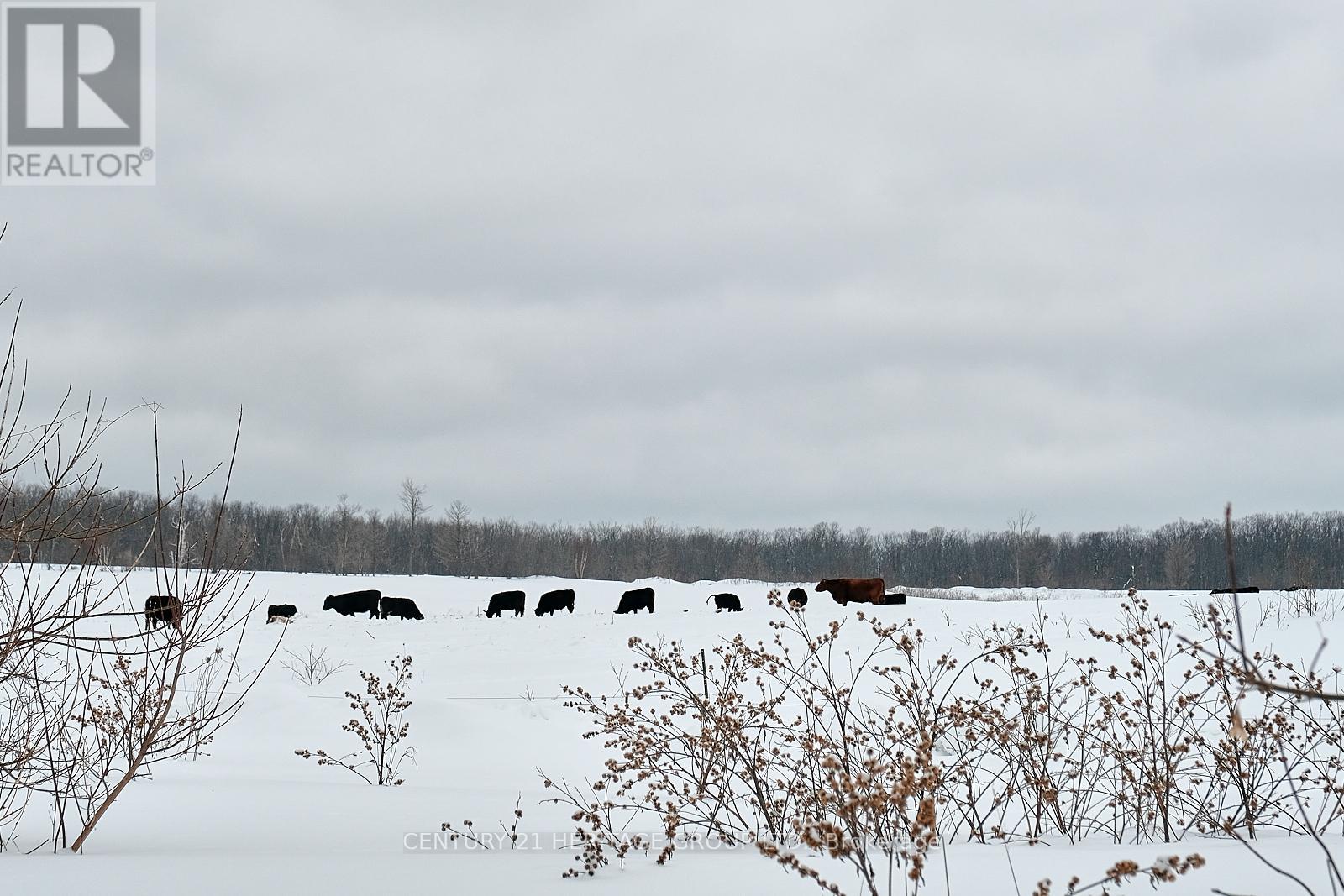 1945 Penetanguishene Road, Oro-Medonte, Ontario  L4M 4Y8 - Photo 33 - S12830926