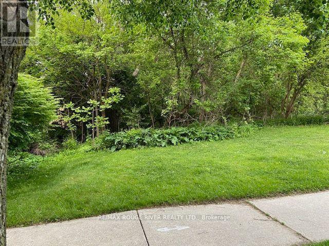 72 Meadowvale Road, Toronto, Ontario  M1C 1S1 - Photo 10 - E12831048