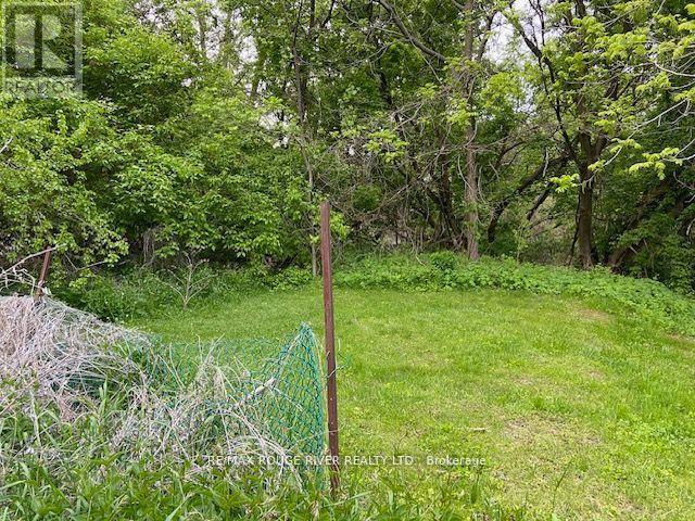 72 Meadowvale Road, Toronto, Ontario  M1C 1S1 - Photo 11 - E12831048