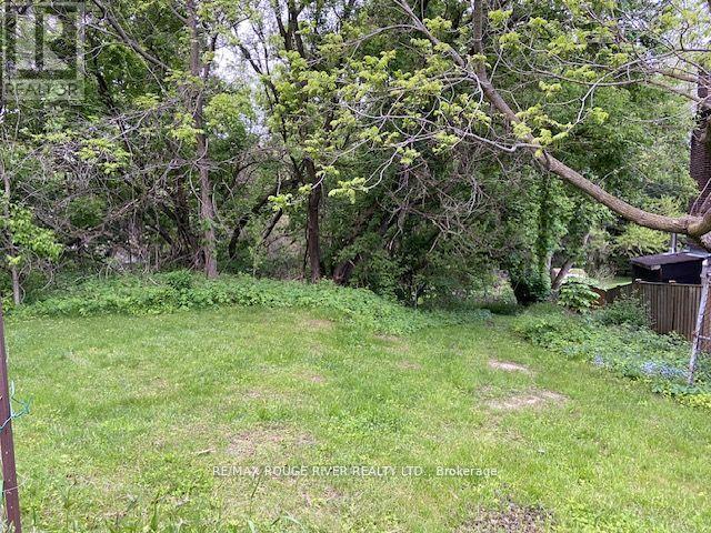 72 Meadowvale Road, Toronto, Ontario  M1C 1S1 - Photo 12 - E12831048