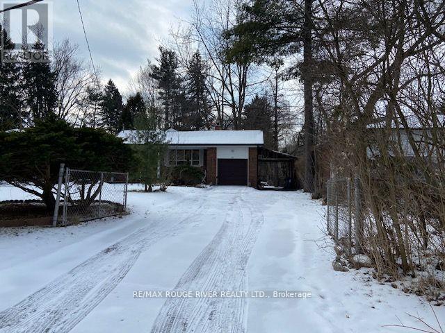 72 Meadowvale Road, Toronto, Ontario  M1C 1S1 - Photo 15 - E12831048