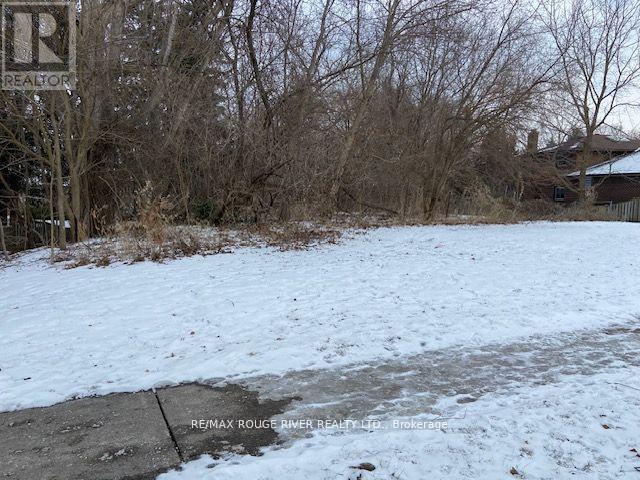 72 Meadowvale Road, Toronto, Ontario  M1C 1S1 - Photo 17 - E12831048