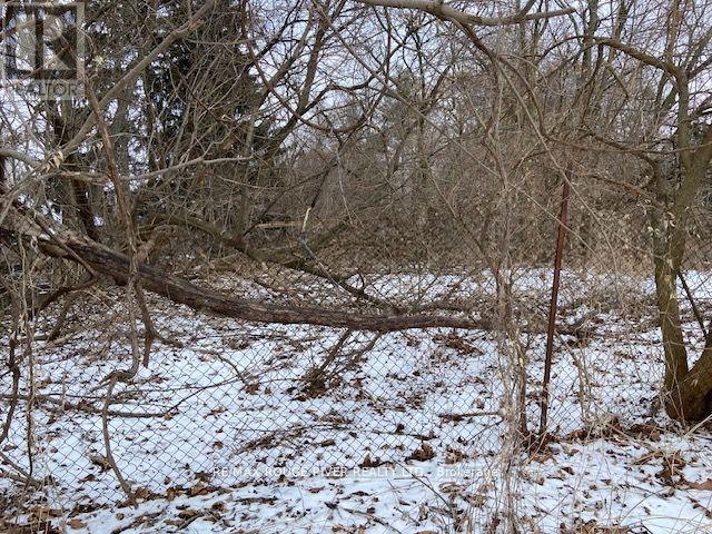 72 Meadowvale Road, Toronto, Ontario  M1C 1S1 - Photo 19 - E12831048