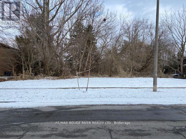 72 Meadowvale Road, Toronto, Ontario  M1C 1S1 - Photo 21 - E12831048