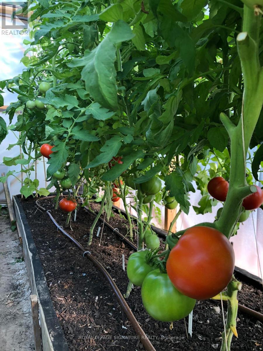 6943 Estoril Road, Mississauga, Ontario  L5N 1N3 - Photo 46 - W12830318