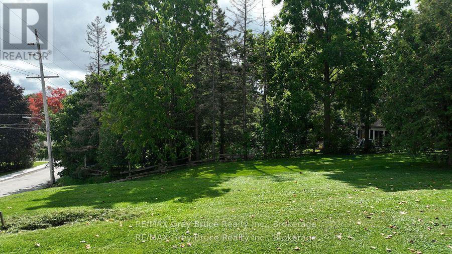 Pt Lot 2 2nd Avenue, Arran-Elderslie, Ontario  N0G 1L0 - Photo 9 - X12831274