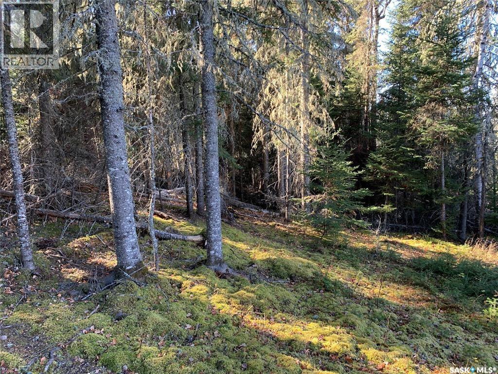 10 Estates Drive, Elk Ridge, Saskatchewan  S0J 0N0 - Photo 2 - SK029409