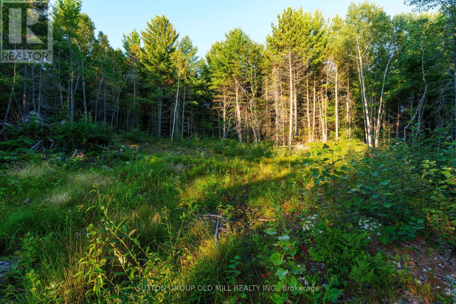 0 Pt5,7,8 Lt61 West Bay Road, Greater Sudbury, Ontario  P3L 1V3 - Photo 15 - X12831326