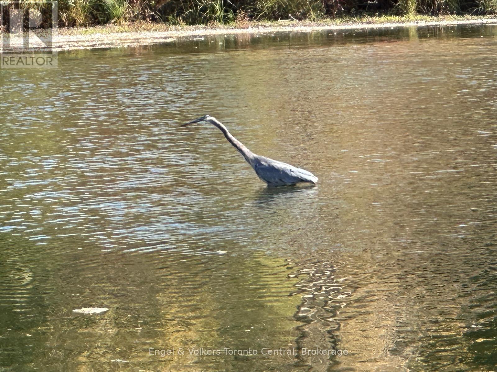E7 - 7489 Sideroad 5 E, Wellington North, Ontario  N0G 2L0 - Photo 26 - X12831452