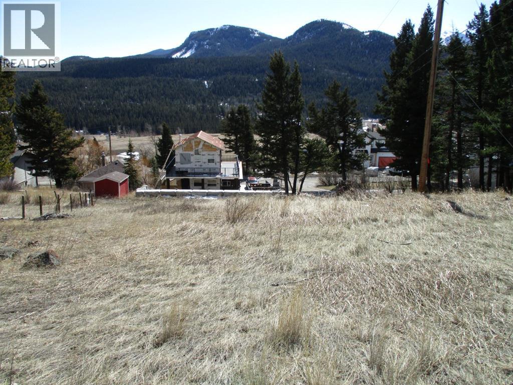 6502 24 Avenue, Coleman, Alberta