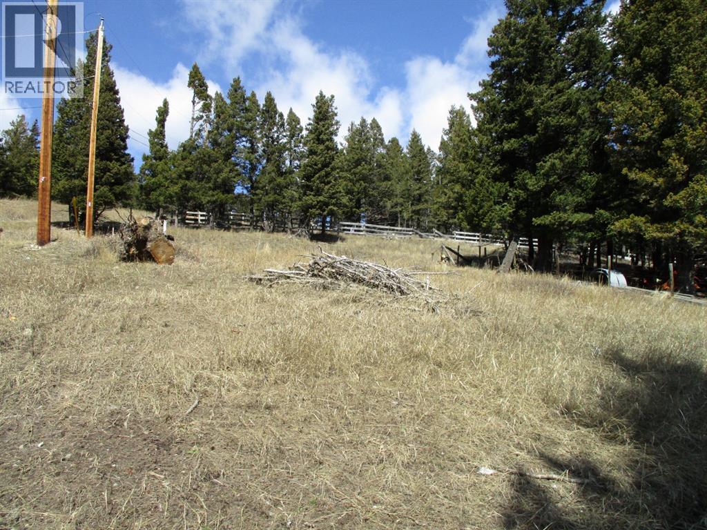 6502 24 Avenue, Coleman, Alberta T0K 0M0 - Photo 2 - A2148304